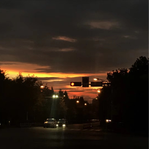 日韩特级片免费
