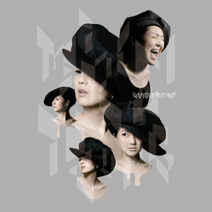 日韩特级片免费
