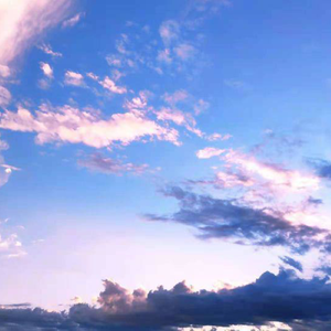 日韩特级片免费
